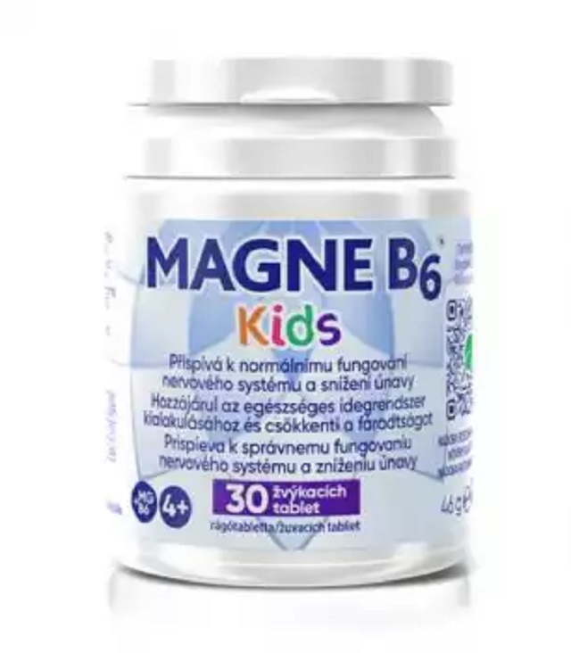 magne b6 1